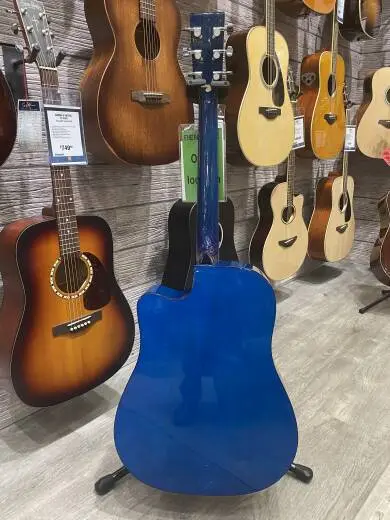 Eleca Acoustic Guitar 2